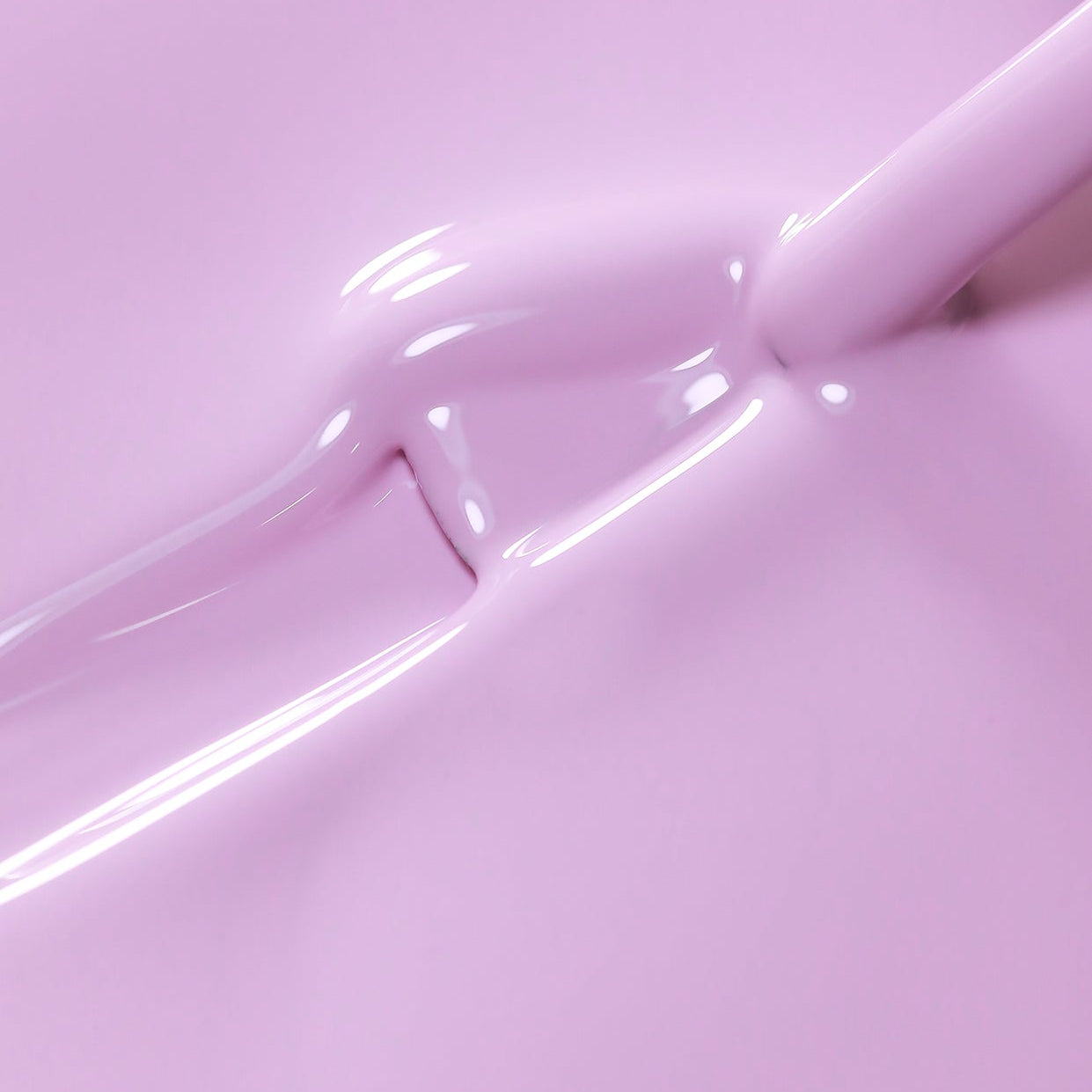 Soft Orchid