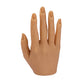 Silicon Practice Hand